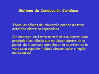 Sistema de Conducción Cardiaca Todas las células del miocardio pueden mostrar actividad eléctrica espontánea. Sin embargo, en forma normal sólo muestran esta propiedad las células que se ubican dentro de la pared  de la aurícula derecha en la abertura de la vena cava superior (nódulo sinoauricular o región marcapasos) 