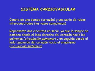 SISTEMA CARDIOVASCULAR Consta de una bomba (corazón) y una serie de tubos interconectados (los vasos sanguíneos) Representa dos circuitos en serie, ya que la sangre se bombea desde el lado derecho del corazón hacia los pulmones ( circulación pulmonar ) y en seguida desde el lado izquierdo del corazón hacia el organismo ( circulación sistémica )  