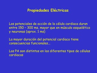 Propiedades Eléctricas Los potenciales de acción de la célula cardiaca duran entre 150 – 300 ms, mayor que en músculo esquelético y neuronas (aprox. 1 ms) La mayor duración del potencial cardiaco tiene consecuencias funcionales... Los PA son distintos en los diferentes tipos de células cardiacas 