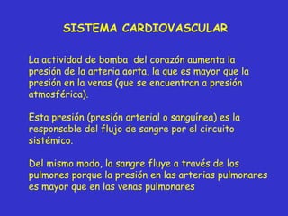 SISTEMA CARDIOVASCULAR La actividad de bomba  del corazón aumenta la presión de la arteria aorta, la que es mayor que la presión en la venas (que se encuentran a presión atmosférica). Esta presión (presión arterial o sanguínea) es la responsable del flujo de sangre por el circuito sistémico. Del mismo modo, la sangre fluye a través de los pulmones porque la presión en las arterias pulmonares es mayor que en las venas pulmonares 