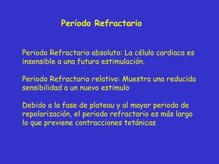 Periodo Refractario Periodo Refractario absoluto: La célula cardiaca es insensible a una futura estimulación. Periodo Refractario relativo: Muestra una reducida sensibilidad a un nuevo estimulo Debido a la fase de plateau y al mayor periodo de repolarización, el periodo refractario es más largo lo que previene contracciones tetánicas 