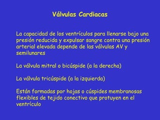 Válvulas  Cardiac as La capacidad de los ventrículos para llenarse bajo una presión reducida y expulsar sangre contra una presión arterial elevada depende de las válvulas AV y semilunares La válvula mitral o bicúspide (a la derecha) La válvula tricúspide (a la izquierda) Están formadas por hojas o cúspides membranosas flexibles de tejido conectivo que protuyen en el ventrículo 