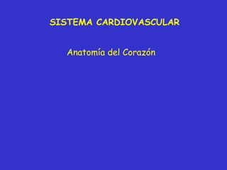 Anatomía del Corazón SISTEMA CARDIOVASCULAR 