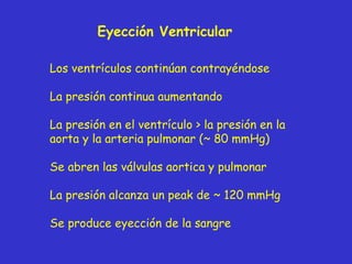 Eyección Ventricular Los ventrículos continúan contrayéndose La presión continua aumentando La presión en el ventrículo >  la presión en la aorta y la arteria pulmonar (~ 80 mmHg) Se abren las válvulas aortica y pulmonar La presión alcanza un peak de ~ 120 mmHg Se produce eyección de la sangre 