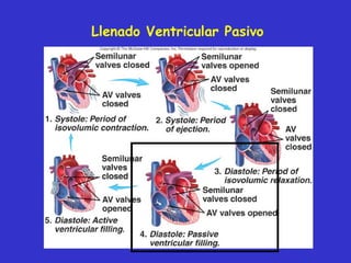 Llenado  Ventricular  Pasivo 