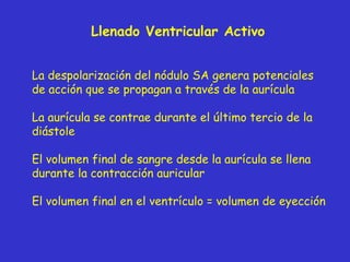 Llenado  Ventricular  Activo La despolarización del nódulo SA genera potenciales de acción que se propagan a través de la aurícula La aurícula se contrae durante el último tercio de la diástole El volumen final de sangre desde la aurícula se llena durante la contracción auricular El volumen final en el ventrículo =  volumen de eyecci ón 