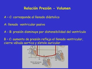 Relación Presión - Volumen A – C: corresponde al llenado diástolico A: llenado  ventricular pasivo A - B: presión disminuye por distensibilidad del ventrículo B – C: aumento de presión refleja el llenado ventricular, cierre válvula aortica y sístole auricular 
