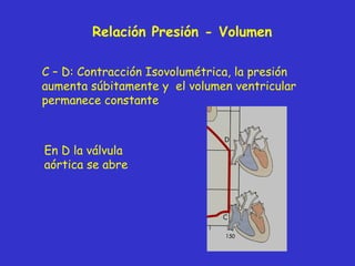 Relación Presión - Volumen C – D: Contracción Isovolumétrica, la presión aumenta súbitamente y  el volumen ventricular permanece constante En D la válvula aórtica se abre 