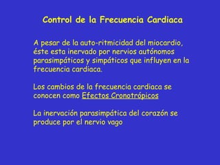 Control de la Frecuencia Cardiaca A pesar de la auto-ritmicidad del miocardio, éste esta inervado por nervios autónomos parasimpáticos y simpáticos que influyen en la frecuencia cardiaca. Los cambios de la frecuencia cardiaca se conocen como  Efectos Cronotrópicos La inervación parasimpática del corazón se produce por el nervio vago 