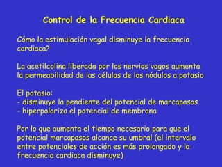 Control de la Frecuencia Cardiaca C ómo la estimulación vagal disminuye la frecuencia cardiaca? La acetilcolina liberada por los nervios vagos aumenta la permeabilidad de las células de los nódulos a potasio El potasio:  disminuye la pendiente del potencial de marcapasos hiperpolariza el potencial de membrana Por lo que aumenta el tiempo necesario para que el potencial marcapasos alcance su umbral (el intervalo entre potenciales de acción es más prolongado y la frecuencia cardiaca disminuye) 