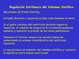 Mecanismo de Frank-Starling Coraz ón derecho e izquierdo actúan como bombas en serie Si el gasto cardiaco del ventrículo derecho supera al izquierdo, el volumen de sangre en la circulación pulmonar aumenta y aumenta la presión de las venas pulmonares Aumenta el retorno venoso a la cavidad izquierda, aumentando el volumen telediástolico del ventrículo izquierdo Lo que produce un aumento del volumen sistólico y restaura el equilibrio entre ambos ventrículos  Regulación Intrínseca del Volumen Sistólico 