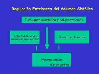    Volumen diastólico final (ventrículo) Actividad de nervios simpáticos en el corazón Epinefrina plasmática Volumen Sistólico Músculo cardiaco Regulación Extrínseca del Volumen Sistólico 