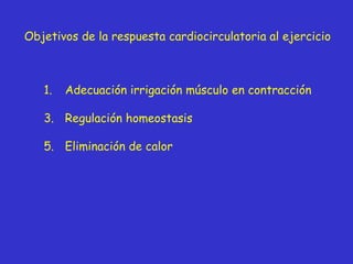 Objetivos de la respuesta cardiocirculatoria al ejercicio <ul><li>Adecuación irrigación músculo en contracción </li></ul><...