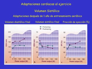 Volumen Sistólico Adaptaciones cardiacas al ejercicio Volumen diastólico final Volumen sistólico final Fracción de eyecció...