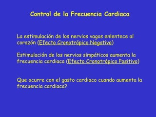Control de la Frecuencia Cardiaca La estimulación de los nervios vagos enlentece al corazón ( Efecto Cronotrópico Negativo...