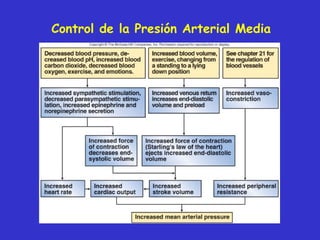 Control de la Presión Arterial Media 