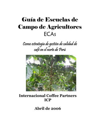 Guía de Escuelas de
Campo de Agricultores
ECAs
Como estrategia de gestión de calidad de
café en el norte de Perú
Internacional Coffee Partners
ICP
Abril de 2006
 