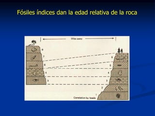 Fósiles índices dan la edad relativa de la roca
 