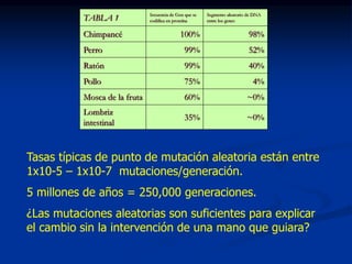 TABLA 1 Secuencia de Gen que se
codifica en proteína
Segmento aleatorio de DNA
entre los genes
Chimpancé 100% 98%
Perro 99% 52%
Ratón 99% 40%
Pollo 75% 4%
Mosca de la fruta 60% ~0%
Lombriz
intestinal
35% ~0%
Tasas típicas de punto de mutación aleatoria están entre
1x10-5 – 1x10-7 mutaciones/generación.
5 millones de años = 250,000 generaciones.
¿Las mutaciones aleatorias son suficientes para explicar
el cambio sin la intervención de una mano que guiara?
 