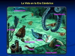 La Vida en la Era Cámbrica
 