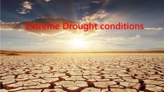 Extreme Drought conditions
 
