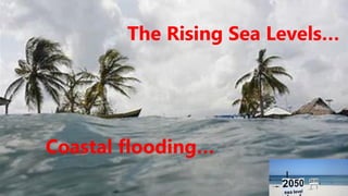 The Rising Sea Levels…
Coastal flooding…
 