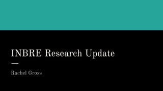 INBRE Research Update
Rachel Gross
 