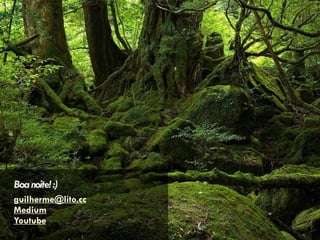 Boanoite!:)
guilherme@lito.cc
Medium
Youtube
 