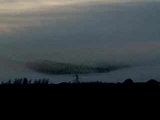 As Calamidades da Ação - Hannah
Arendt
Imprevisibilidade de resultados
Irreversibilidade do processo
Ausência de autoria
 
