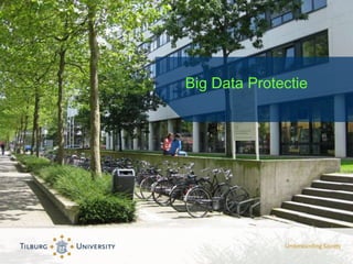 Big Data Protectie
 