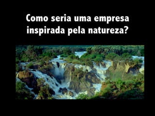 Como seria uma empresa
inspirada pela natureza?
 