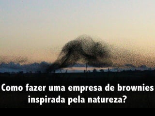 Como fazer uma empresa de brownies
inspirada pela natureza?
 