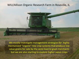 WIU/Allison Organic Research Farm in Roseville, IL




We mostly investigate management strategies for highly
mechanized “organic” row crop systems that produce low-
value grains for sale by the semi-load to grain merchants
  but we are also starting to explore higher value crops
 