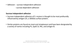 • Adhesion - sucrose independent adhesion
- sucrose dependent adhesion
Sucrose independent adhesion
• Sucrose-independent adhesion of S. mutans is thought to be most profoundly
influenced by antigen I/II, a 185kDa surface protein.
• Similar proteins are found on most oral streptococci and have been designated by
a variety of names including P1, SpaP, Sr, PAc, and antigen B.
VIRULENCE PROPERTIES OF STREPTOCOCCUS MUTANS
Jeffrey A. Banas Frontiers in Bioscience 9, 1267-1277, May 1, 2004
 