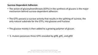 Sucrose-Dependent Adhesion
• The action of glucosyltransferases (GTFs) in the synthesis of glucans is the major
mechanism behind sucrose-dependent adhesion.
• The GTFs possess a sucrase activity that results in the splitting of sucrose, the
only natural substrate for the GTFs, into glucose and fructose
• The glucose moiety is then added to a growing polymer of glucan.
• S. mutans possesses three GTFs encoded by gtfB, gtfC, and gtfD
VIRULENCE PROPERTIES OF STREPTOCOCCUS MUTANS
Jeffrey A. Banas Frontiers in Bioscience 9, 1267-1277, May 1, 2004
 