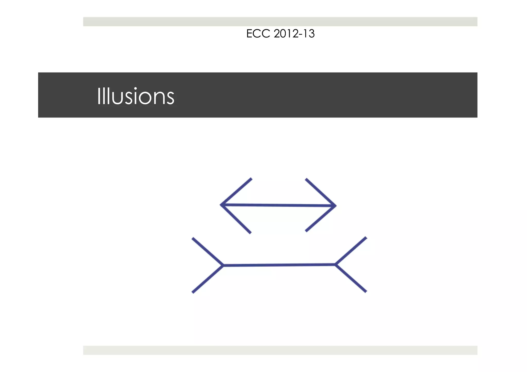 ECC 2012
                2012-13




Illusions
 