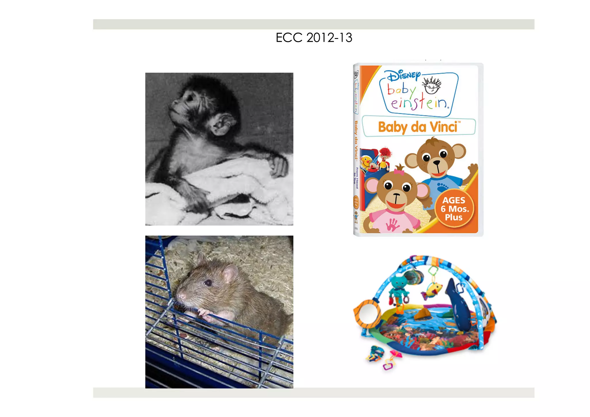 ECC 2012
    2012-13
 