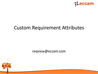Custom Requirement Attributes | PDF