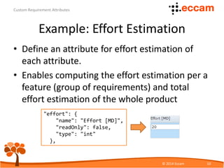 Custom Requirement Attributes | PDF