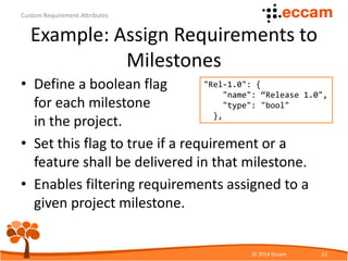 Requirements Atributes Custom Requirement Attributes | PDF