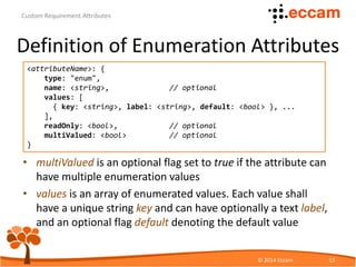 Custom Requirement Attributes | PDF