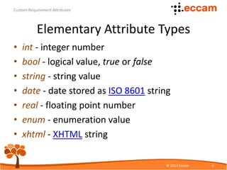 Custom Requirement Attributes | PDF