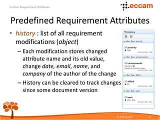 Custom Requirement Attributes | PDF