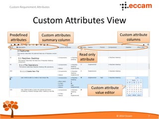 Custom Requirement Attributes | PDF