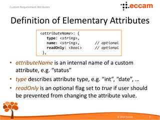 Custom Requirement Attributes | PDF