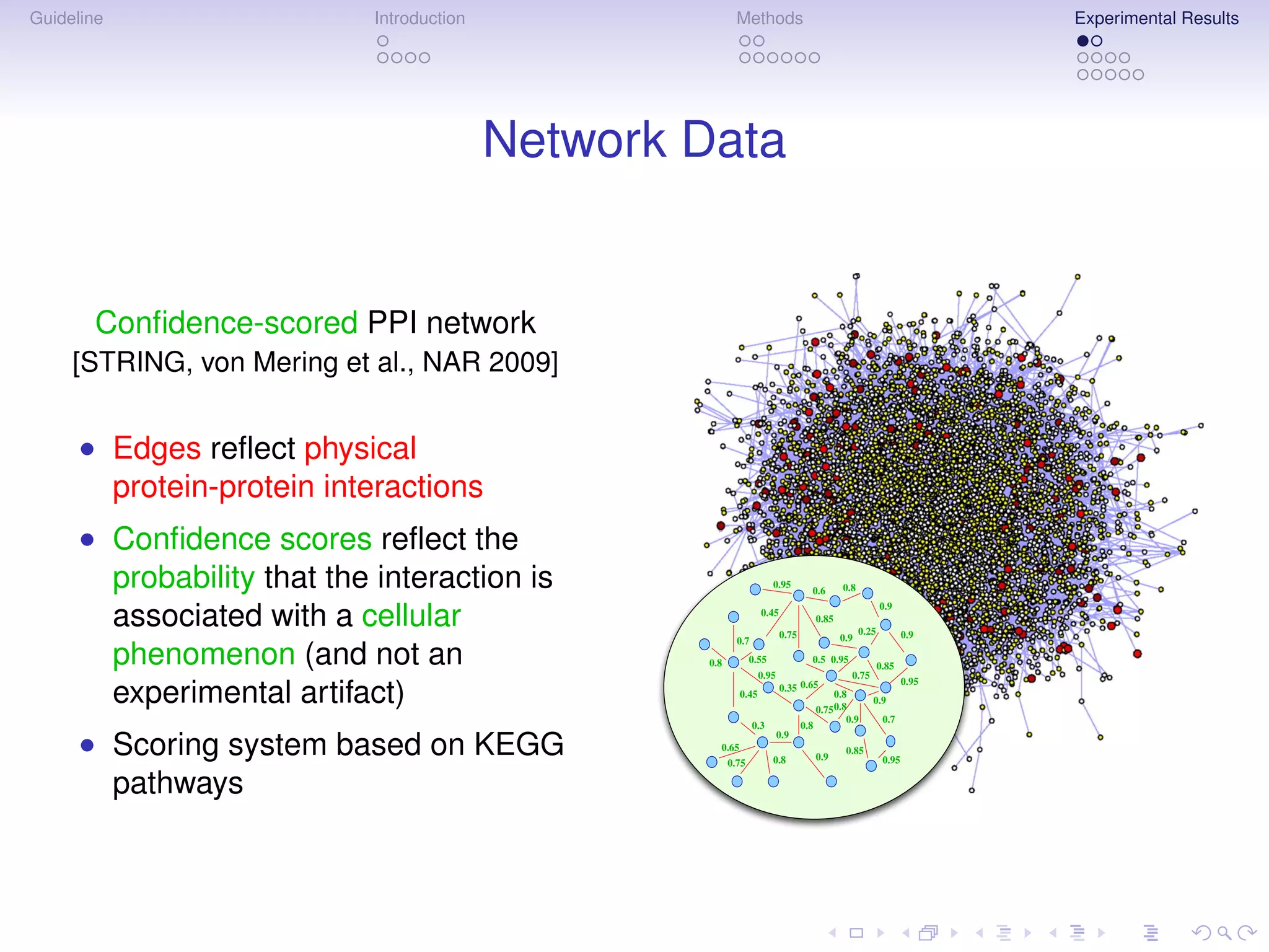 Guideline                    Introduction                  Methods                                                         Experimental Results




                                            Network Data


       Conﬁdence-scored PPI network
     [STRING, von Mering et al., NAR 2009]


      • Edges reﬂect physical
        protein-protein interactions
      • Conﬁdence scores reﬂect the
        probability that the interaction is                             0.95
                                                                                    0.6        0.8
                                                                                                            0.9
        associated with a cellular                                  0.45

                                                                           0.75
                                                                                        0.85
                                                                                               0.9
                                                                                                     0.25           0.9
                                                            0.7
        phenomenon (and not an                      0.8          0.55
                                                                    0.95
                                                                                    0.5 0.95
                                                                                                 0.75
                                                                                                            0.85
                                                                                                                    0.95
        experimental artifact)                               0.45
                                                                           0.35 0.65
                                                                                             0.8
                                                                                        0.75 0.8
                                                                                                        0.9
                                                                                                0.9          0.7
                                                                  0.3             0.8

      • Scoring system based on KEGG                  0.65
                                                          0.75          0.8
                                                                           0.9

                                                                                        0.9
                                                                                                0.85
                                                                                                             0.95

        pathways
 