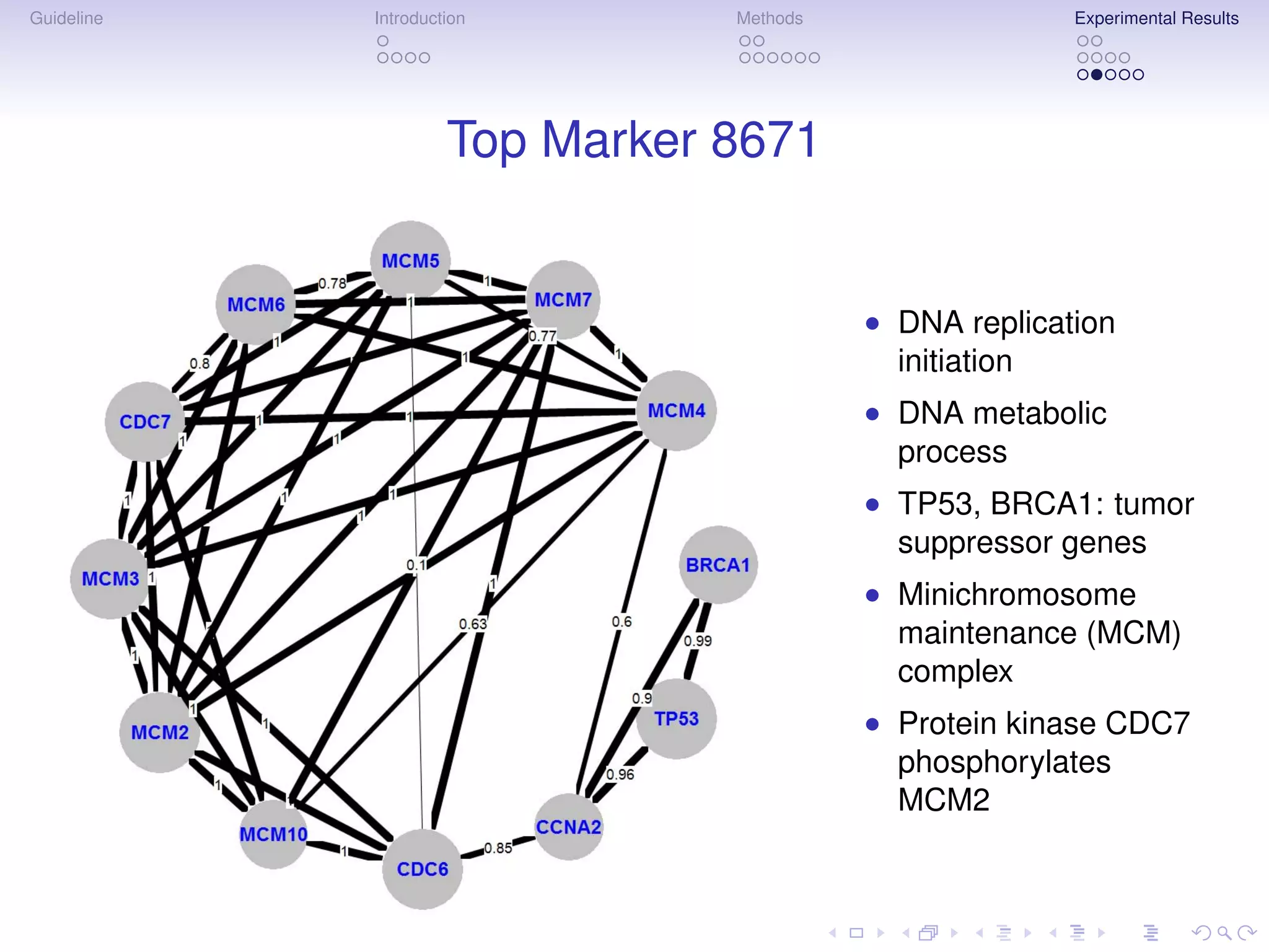 Guideline   Introduction        Methods                 Experimental Results




                     Top Marker 8671


                                          • DNA replication
                                            initiation
                                          • DNA metabolic
                                            process
                                          • TP53, BRCA1: tumor
                                            suppressor genes
                                          • Minichromosome
                                            maintenance (MCM)
                                            complex
                                          • Protein kinase CDC7
                                            phosphorylates
                                            MCM2
 