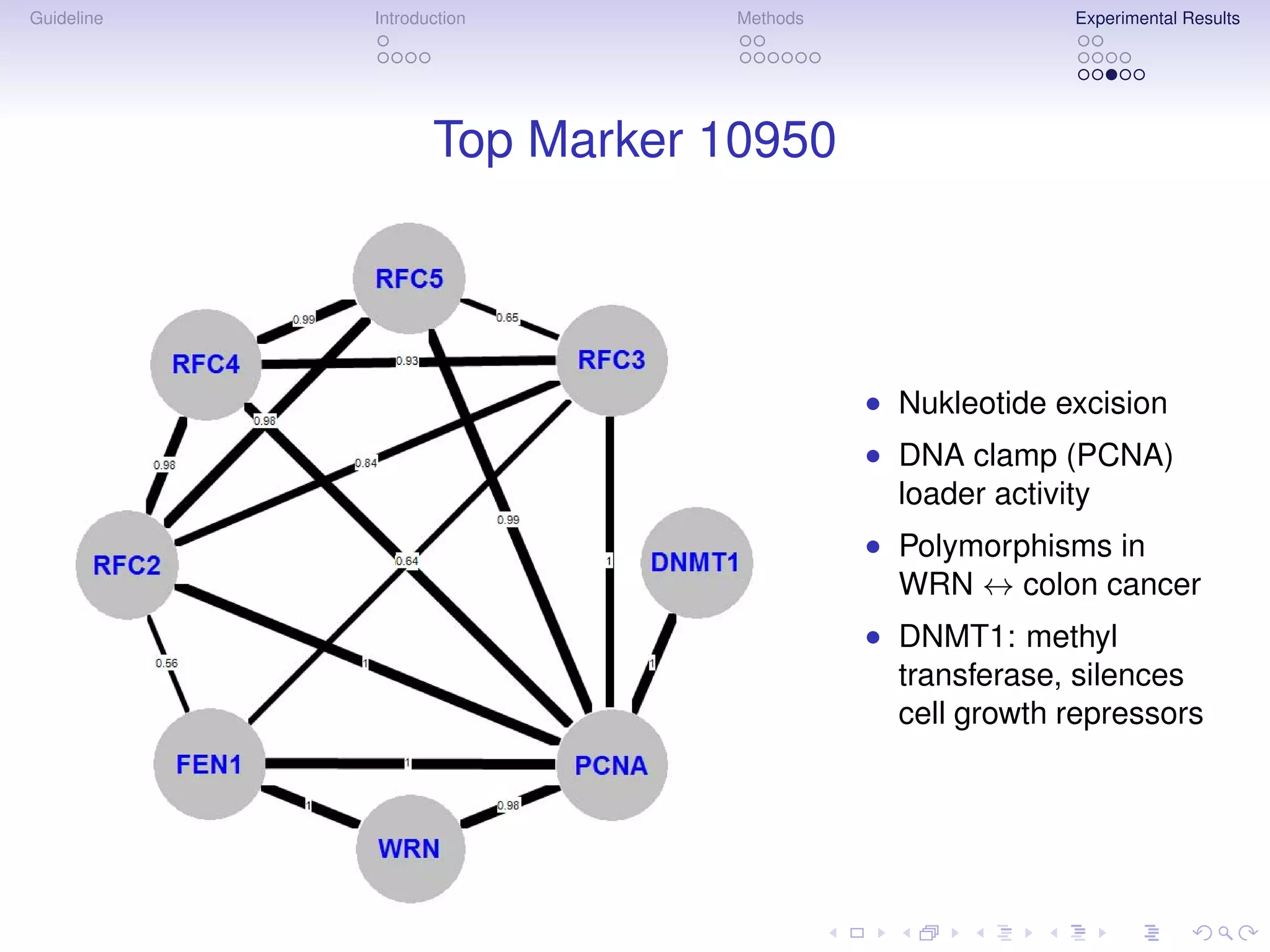 Guideline   Introduction       Methods                 Experimental Results




                   Top Marker 10950




                                         • Nukleotide excision
                                         • DNA clamp (PCNA)
                                           loader activity
                                         • Polymorphisms in
                                           WRN ↔ colon cancer
                                         • DNMT1: methyl
                                           transferase, silences
                                           cell growth repressors
 
