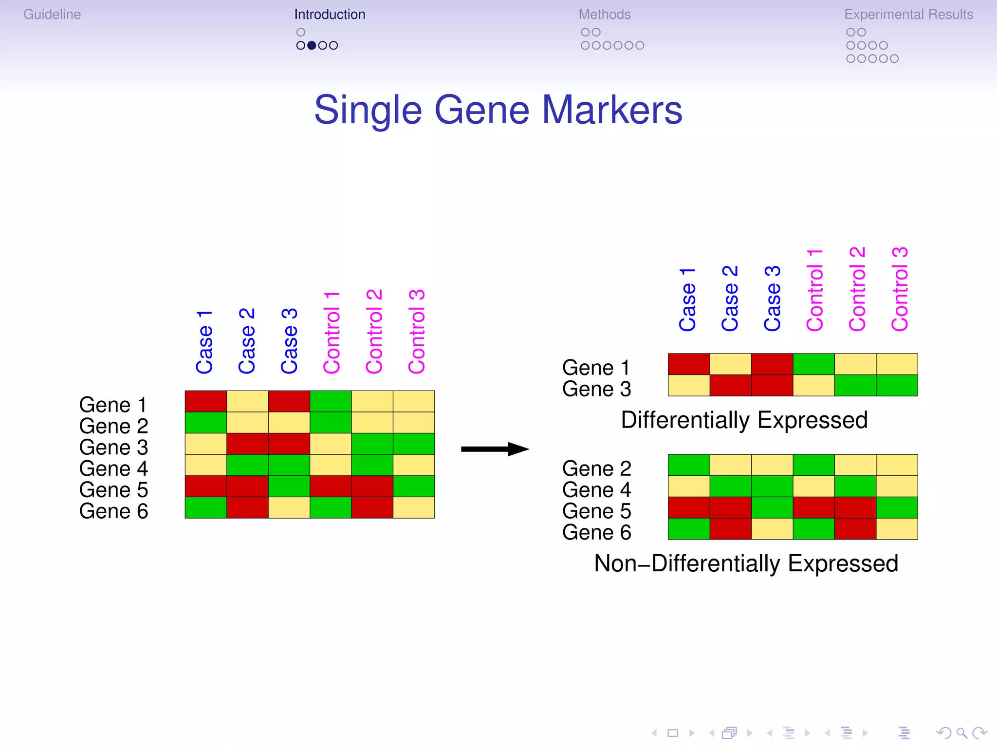 Guideline                             Introduction                               Methods                                          Experimental Results




                                            Single Gene Markers




                                                                                                                      Control 1

                                                                                                                                  Control 2
                                                                                                                                              Control 3
                                                                                           Case 1
                                                                                                    Case 2

                                                                                                             Case 3
                                            Control 1

                                                        Control 2
                                                                    Control 3
                 Case 1
                          Case 2

                                   Case 3


                                                                                Gene 1
                                                                                Gene 3
        Gene 1
        Gene 2                                                                        Differentially Expressed
        Gene 3
        Gene 4                                                                  Gene 2
        Gene 5                                                                  Gene 4
        Gene 6                                                                  Gene 5
                                                                                Gene 6
                                                                                   Non−Differentially Expressed
 