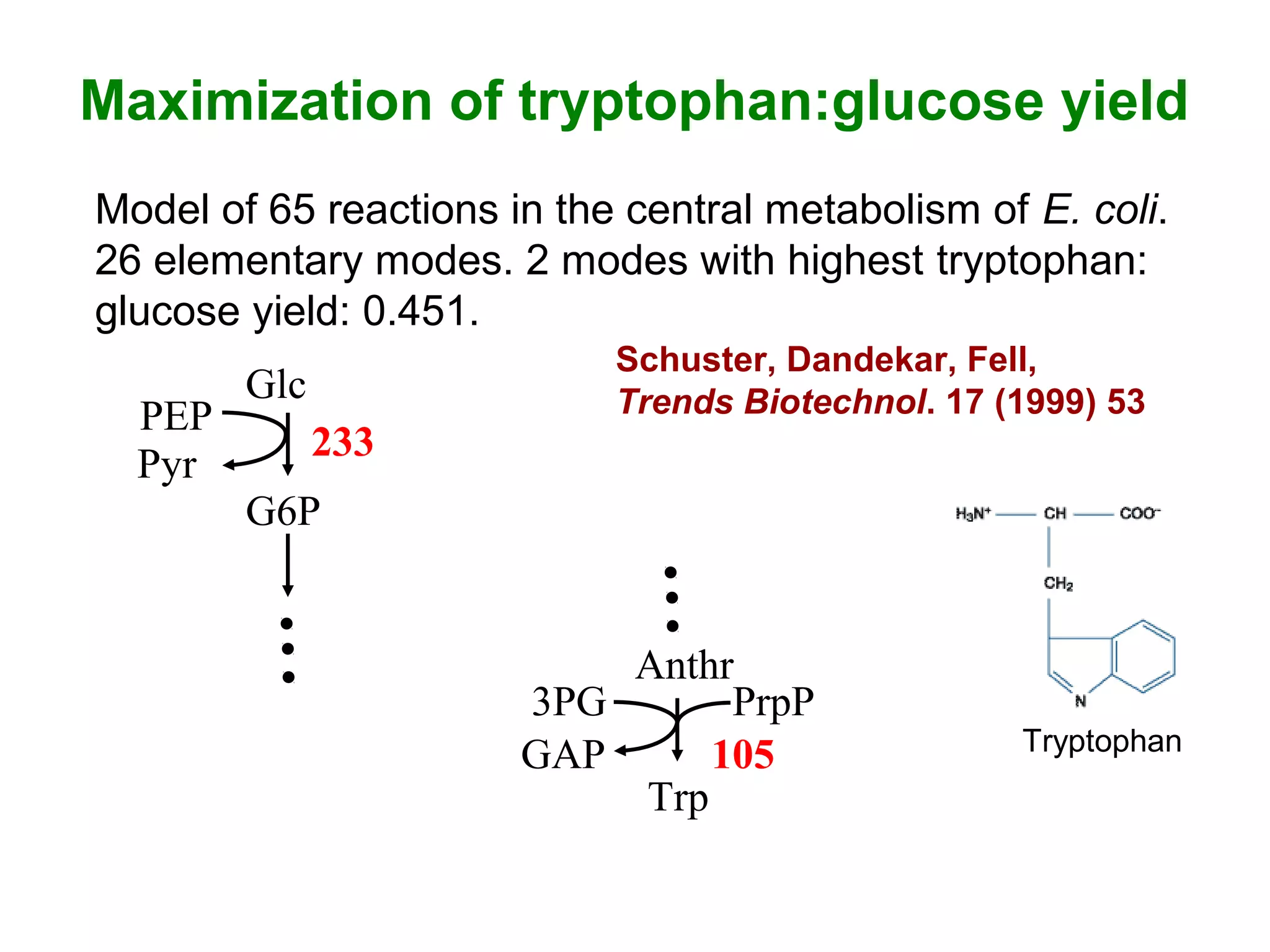 Maximization of tryptophan:glucose yield
Model of 65 reactions in the central metabolism of E. coli.
26 elementary modes. 2 modes with highest tryptophan:
glucose yield: 0.451.
Glc
G6P
233
Anthr
Trp
105
PEP
Pyr
3PG
GAP
PrpP
Schuster, Dandekar, Fell,
Trends Biotechnol. 17 (1999) 53
Tryptophan
 